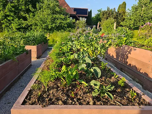 Hochbeet von Kunden