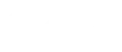 MAX Lochboden GmbH Logo